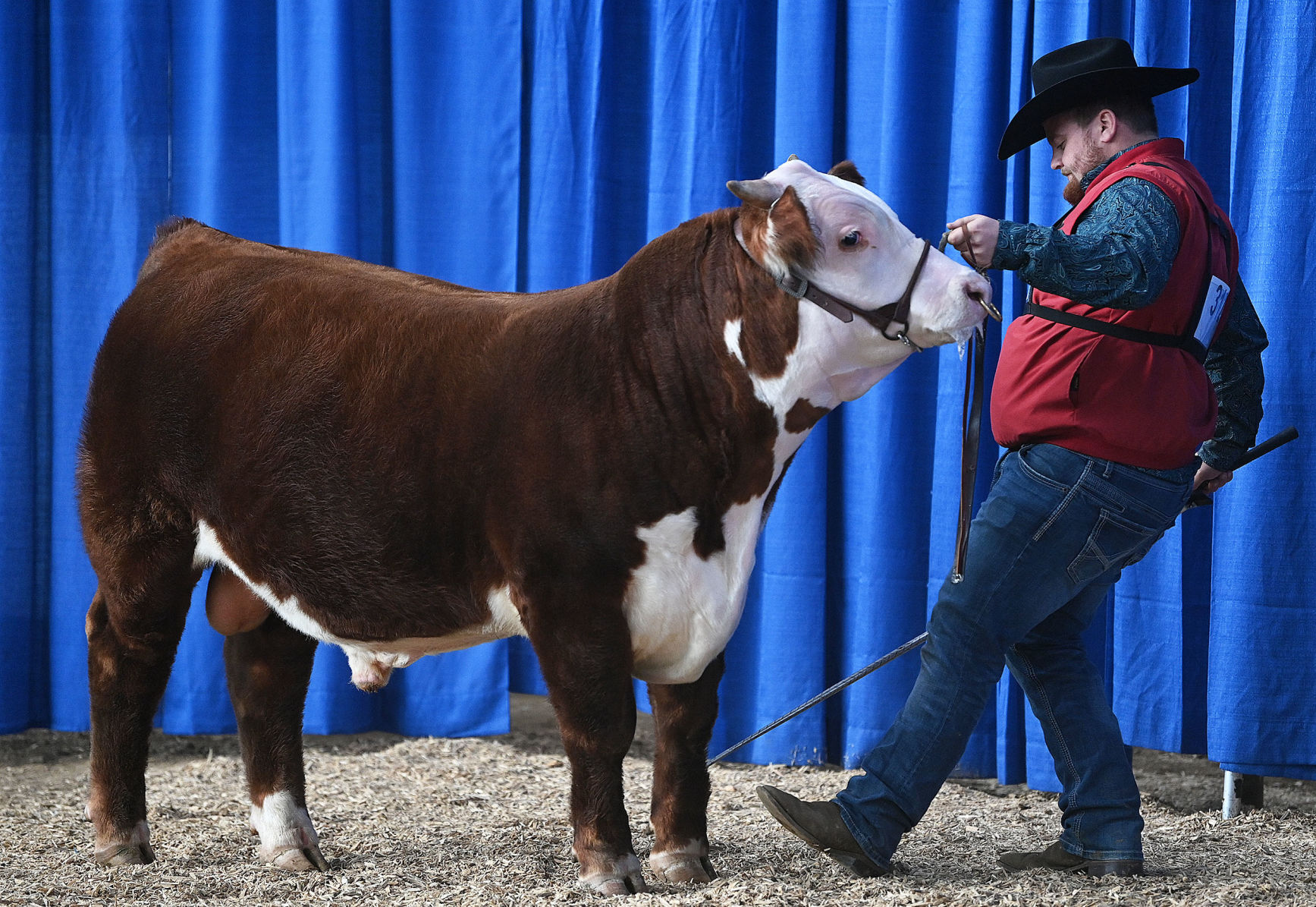 PA Farm Show 16